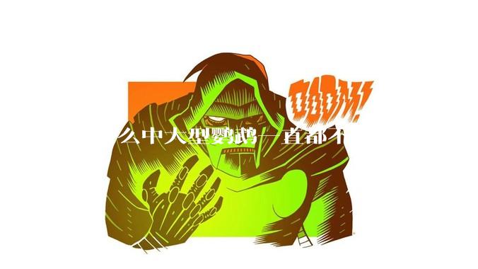 为什么中大型鹦鹉一直都不开放售卖？有哪些原因呢?